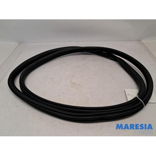 Citroen - C3 - Front door seal 4-door, right