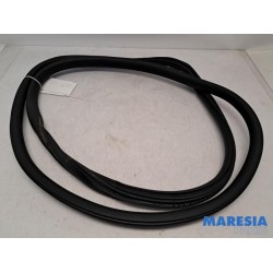 Citroen - C3 - Front door seal 4-door, left