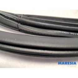 Citroen - C3 - Front door seal 4-door, left