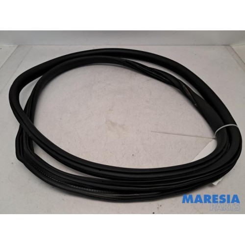 Citroen - C3 - Front door seal 4-door, left