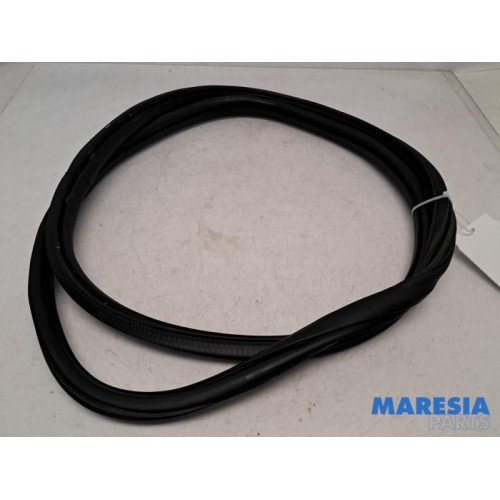 Citroen - C3 - Rear door seal 4-door, right