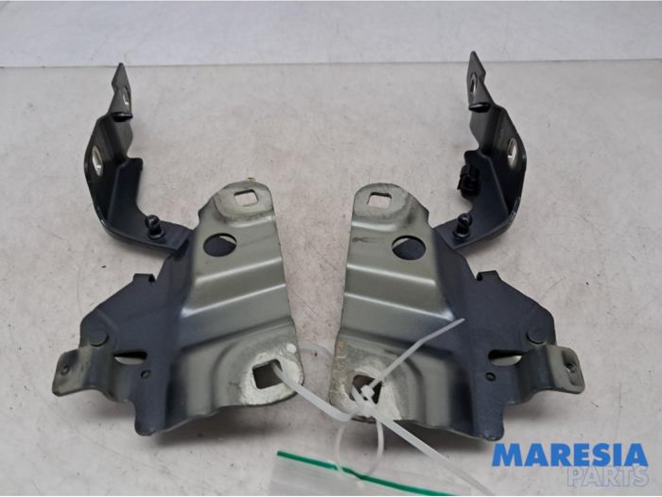 Renault - ZOE - Bonnet Hinge