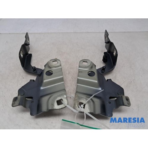 Renault - ZOE - Bonnet Hinge