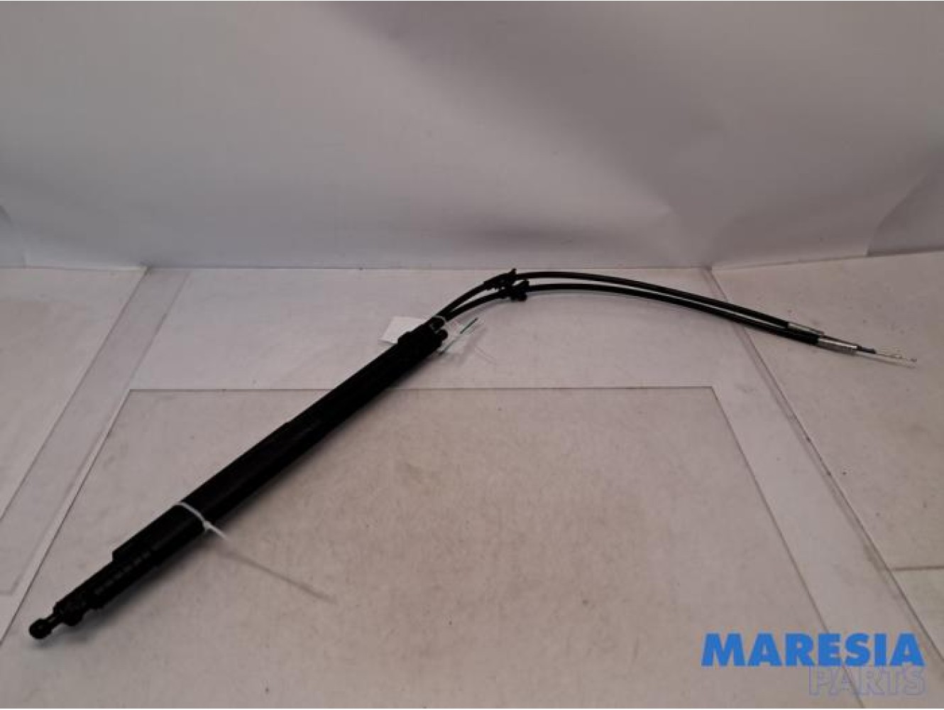 Citroen - C5 - Set of tailgate gas struts