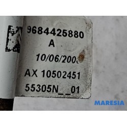 Citroen - C5 - LHM line