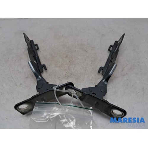 Citroen - C5 - Bonnet Hinge