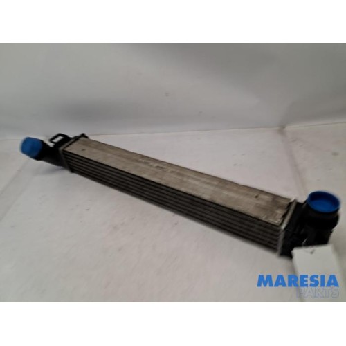 Renault - Megane - Intercooler