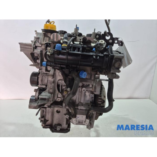 Renault - Clio - Motor