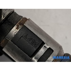 Fiat - Palio - Injector (petrol injection)