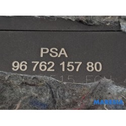 Citroen - DS3 - PDC Module
