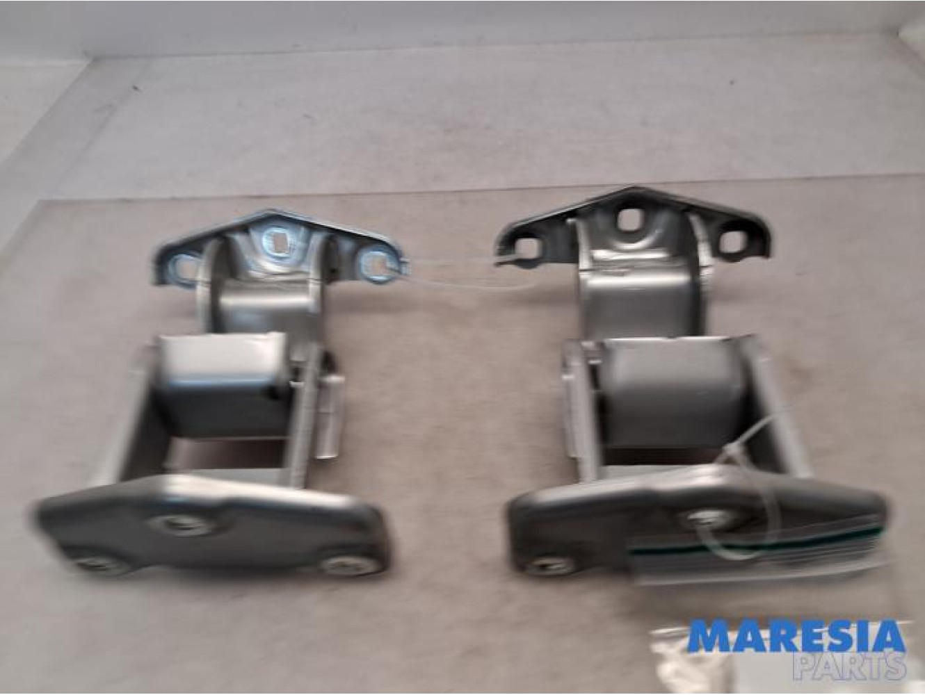 Renault - Trafic - Set of hinges