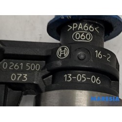 Citroen - C4 Picasso - Injector (benzine injectie)