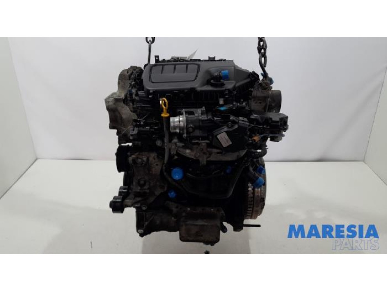 Opel - Vivaro - Motor