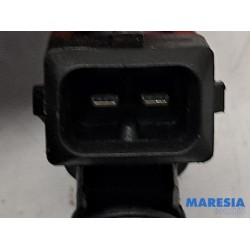 Fiat - Punto - Injector (petrol injection)