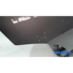 Renault - Captur - Rear door 4-door, right