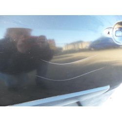 Renault - Megane Scenic - Portier 4Deurs links-achter