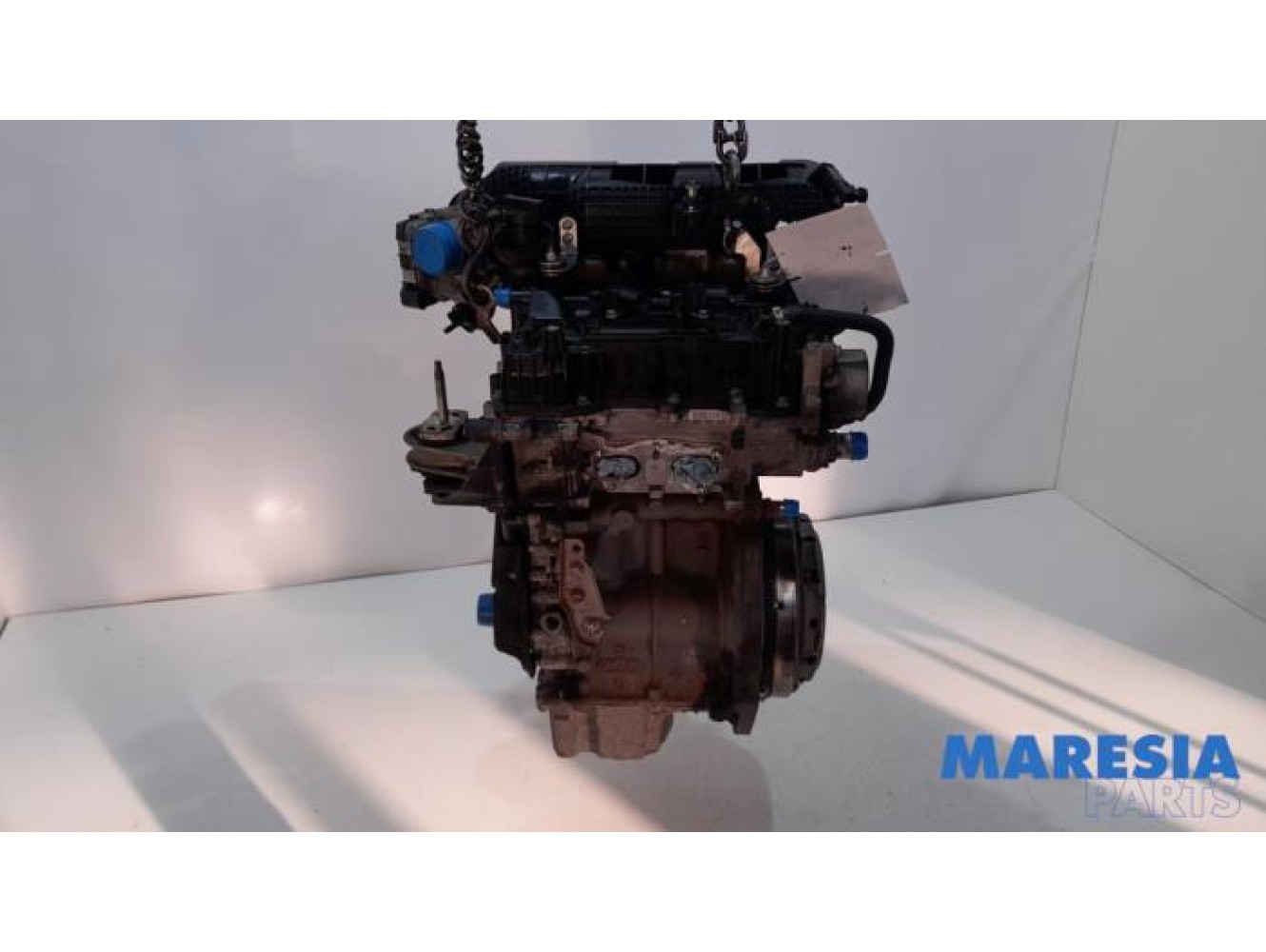 Fiat - Panda - Engine