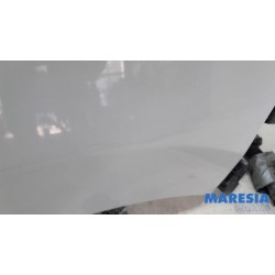 Opel - Vivaro - Front wing, right