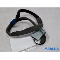 Renault - Clio - GPS Antenne