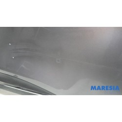 Renault - Scenic - Portier 4Deurs links-achter