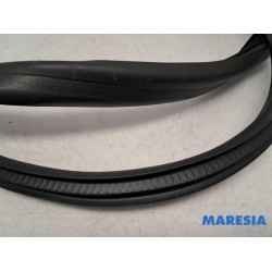 Renault - Captur - Portierrubber 4Deurs rechts-voor