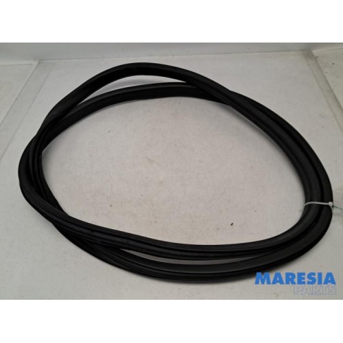 Renault - Captur - Portierrubber 4Deurs rechts-voor