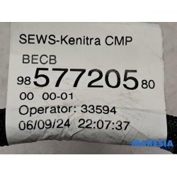 Peugeot - 208 - Battery sensor