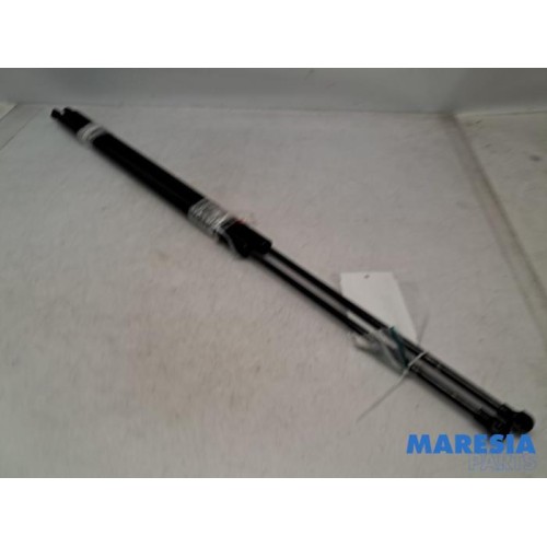 Opel - Vivaro - Set of tailgate gas struts