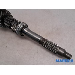 Fiat - Ducato - Constant-pinion shaft