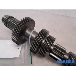 Fiat - Ducato - Constant-pinion shaft
