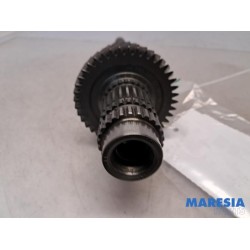 Fiat - Ducato - Constant-pinion shaft