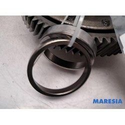 Fiat - Ducato - Front differential