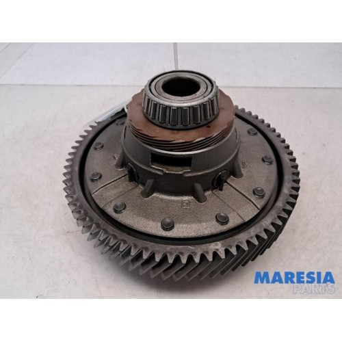 Fiat - Ducato - Differential vorne