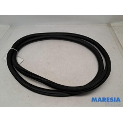 Peugeot - 208 - Front door seal 4-door, left