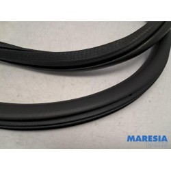 Peugeot - 208 - Front door seal 4-door, left