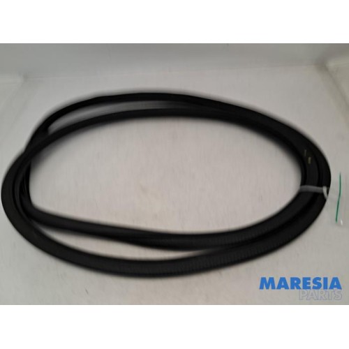 Peugeot - 208 - Front door seal 4-door, left