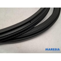 Peugeot - 208 - Front door seal 4-door, right