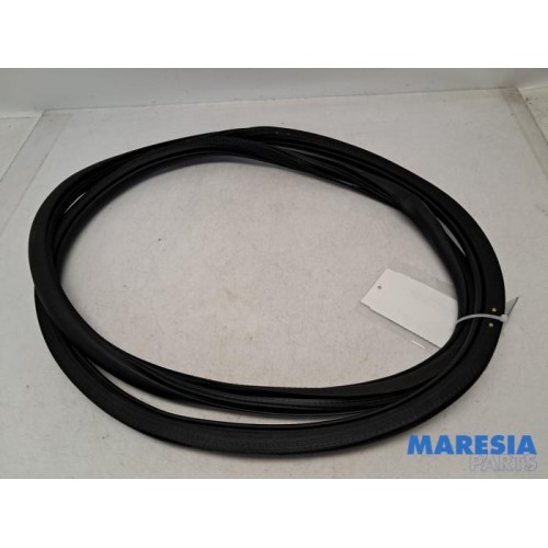 Peugeot - 208 - Front door seal 4-door, right
