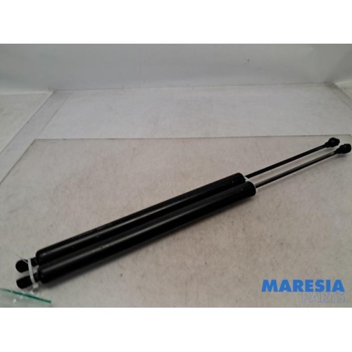Peugeot - Partner - Set of tailgate gas struts