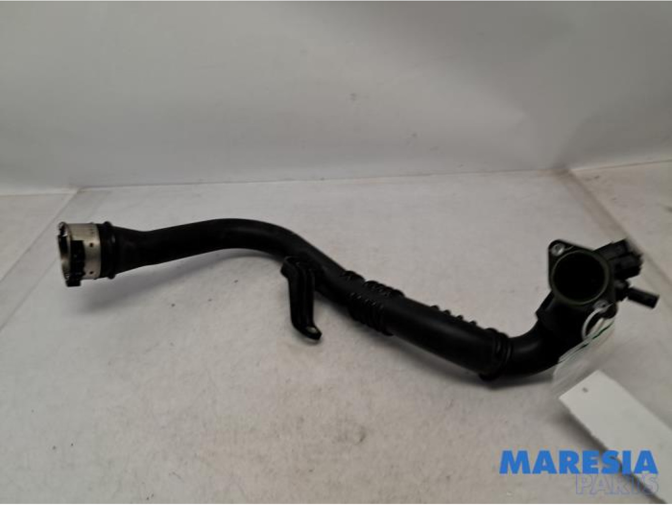 Renault - Scenic - Intercooler hose