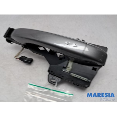 Renault - Scenic - Door handle 4-door, front left