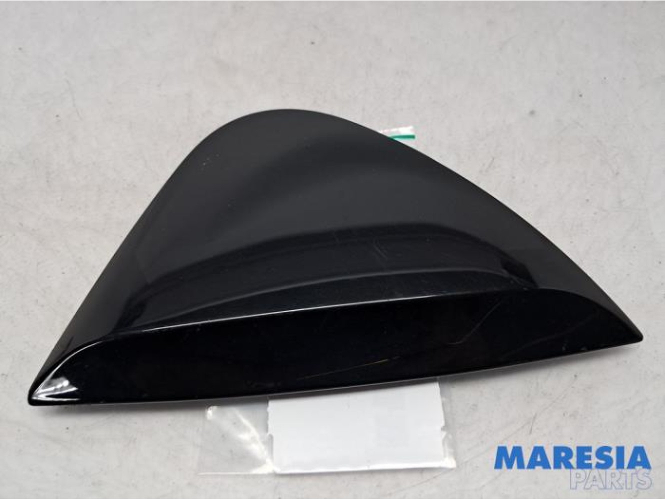 Renault - Scenic - Sierstrip