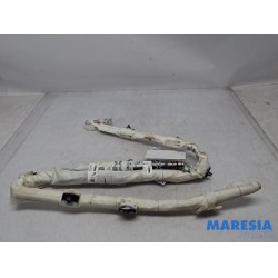 Renault - Scenic - Airbag hemel links
