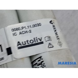 Renault - Scenic - Airbag hemel links