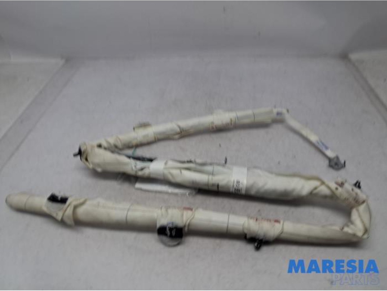 Renault - Scenic - Airbag hemel links