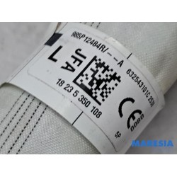 Renault - Scenic - Airbag hemel links