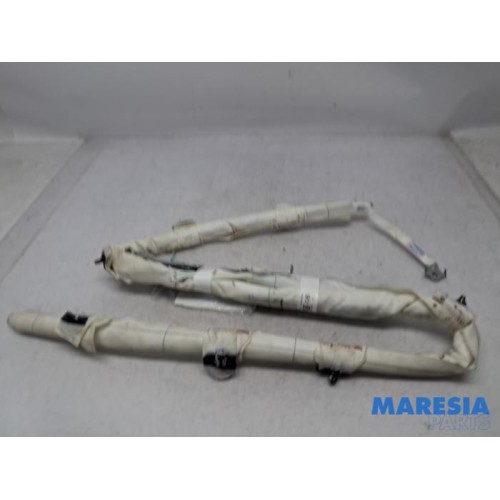 Renault - Scenic - Airbag hemel links