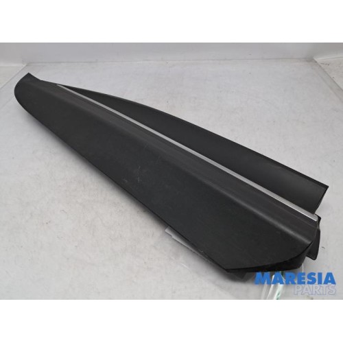 Renault - Scenic - Door strip