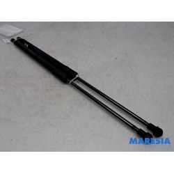 Renault - Scenic - Set of tailgate gas struts