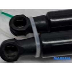 Renault - Scenic - Set of tailgate gas struts